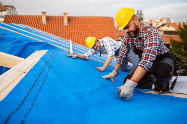 Best Gutter Installation and Roofing  in Morongo Valley, CA